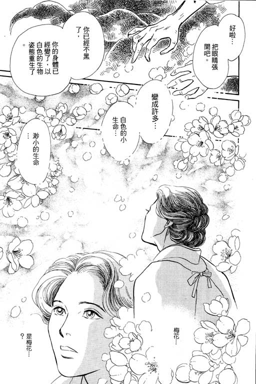 第206页