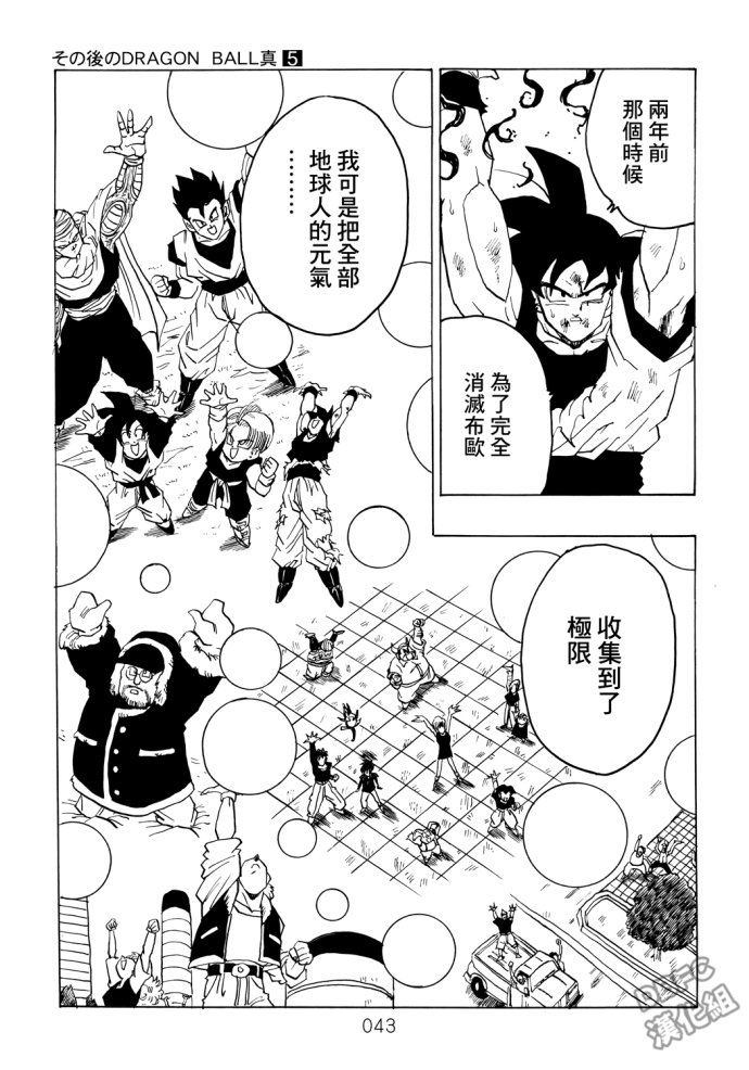 第43页