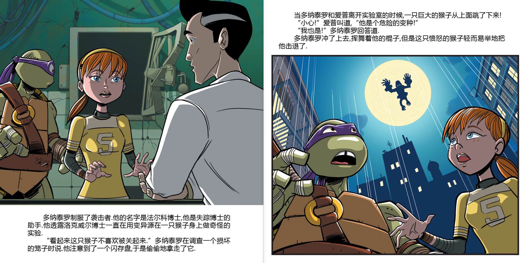 第5页