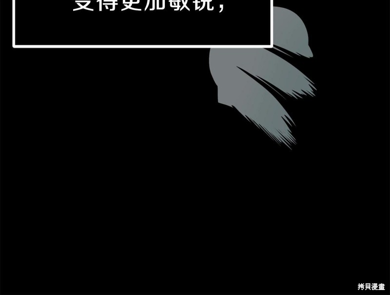 第260页