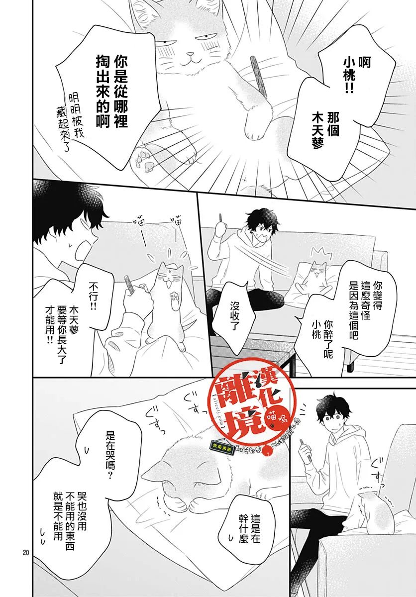 第20页