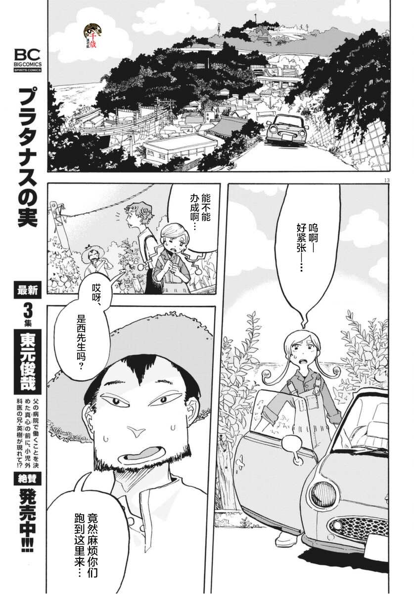 第13页