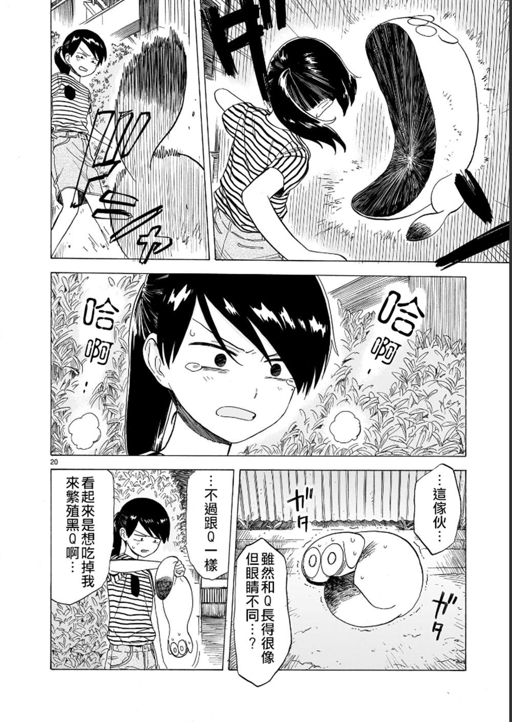 第20页