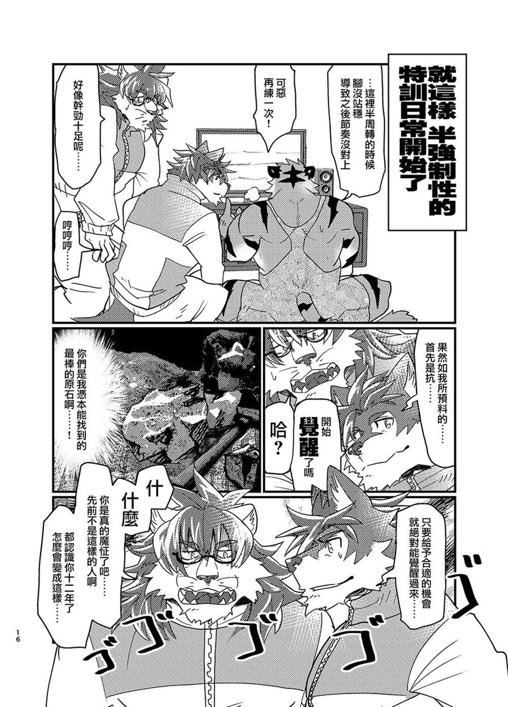 第17页