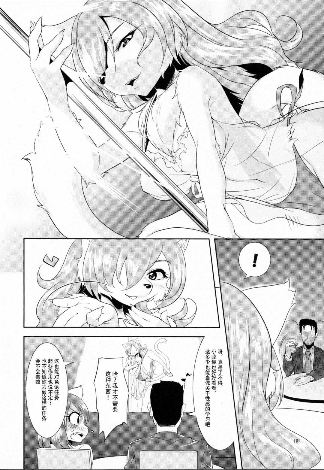 第17页