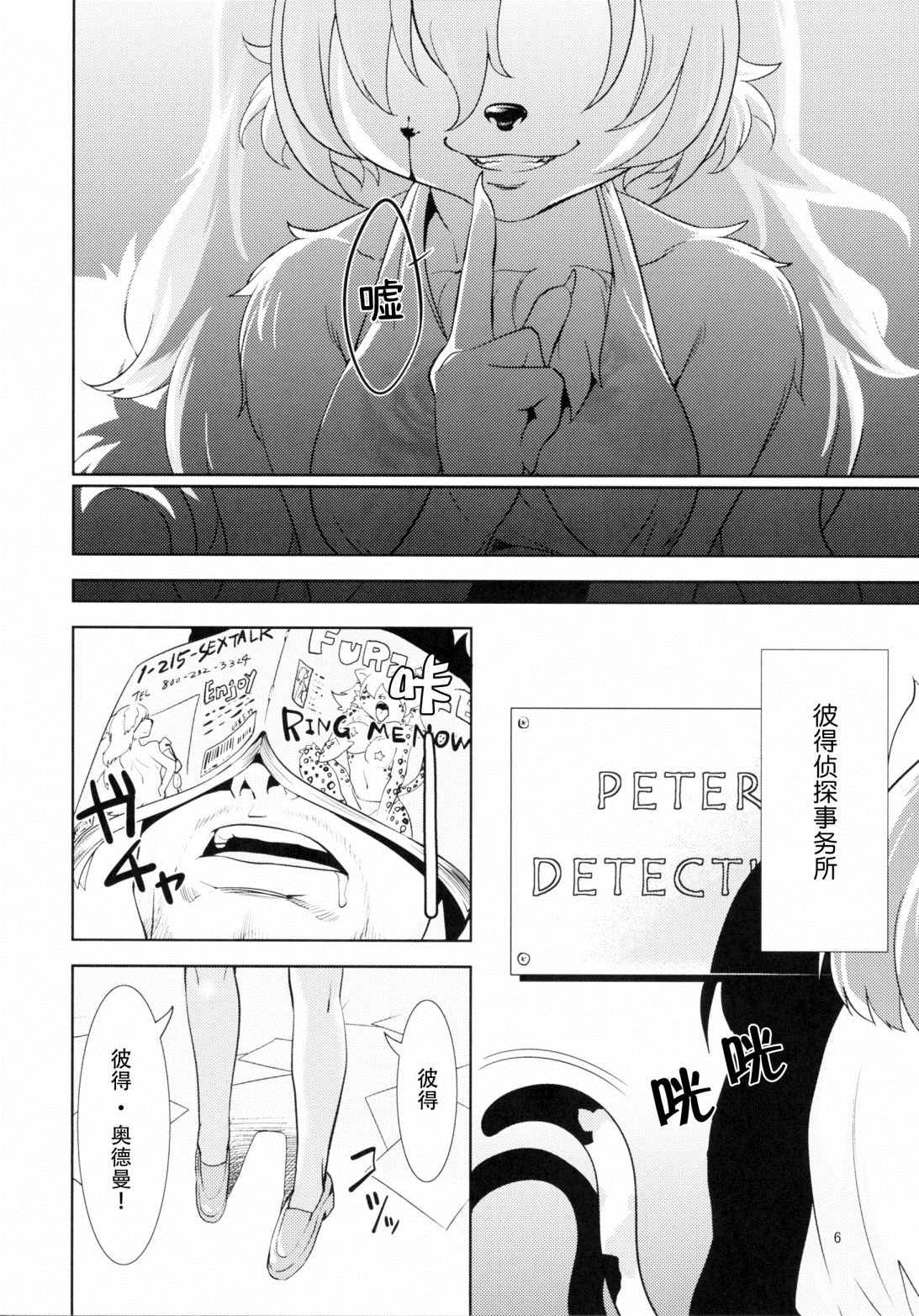第5页