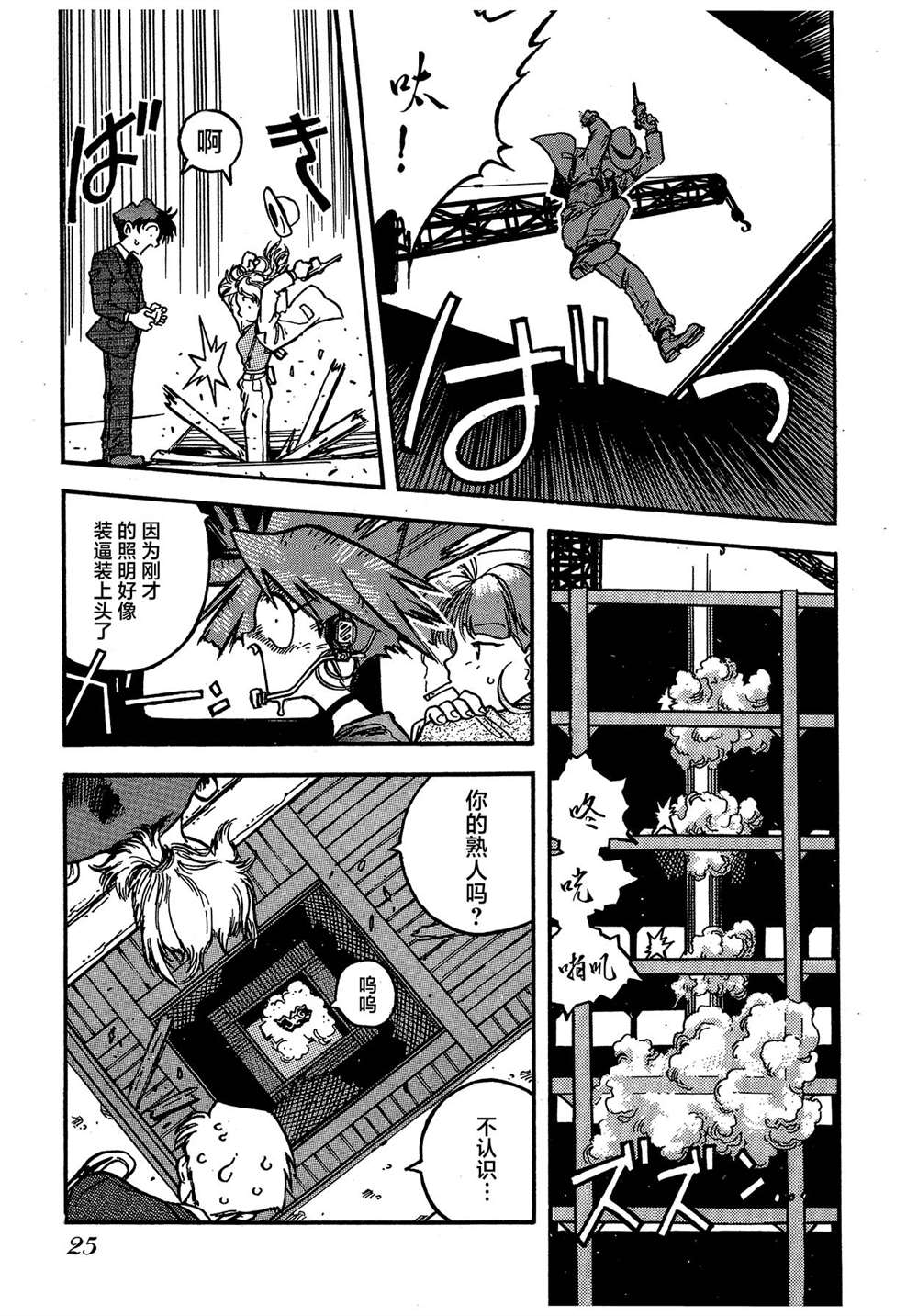 第25页