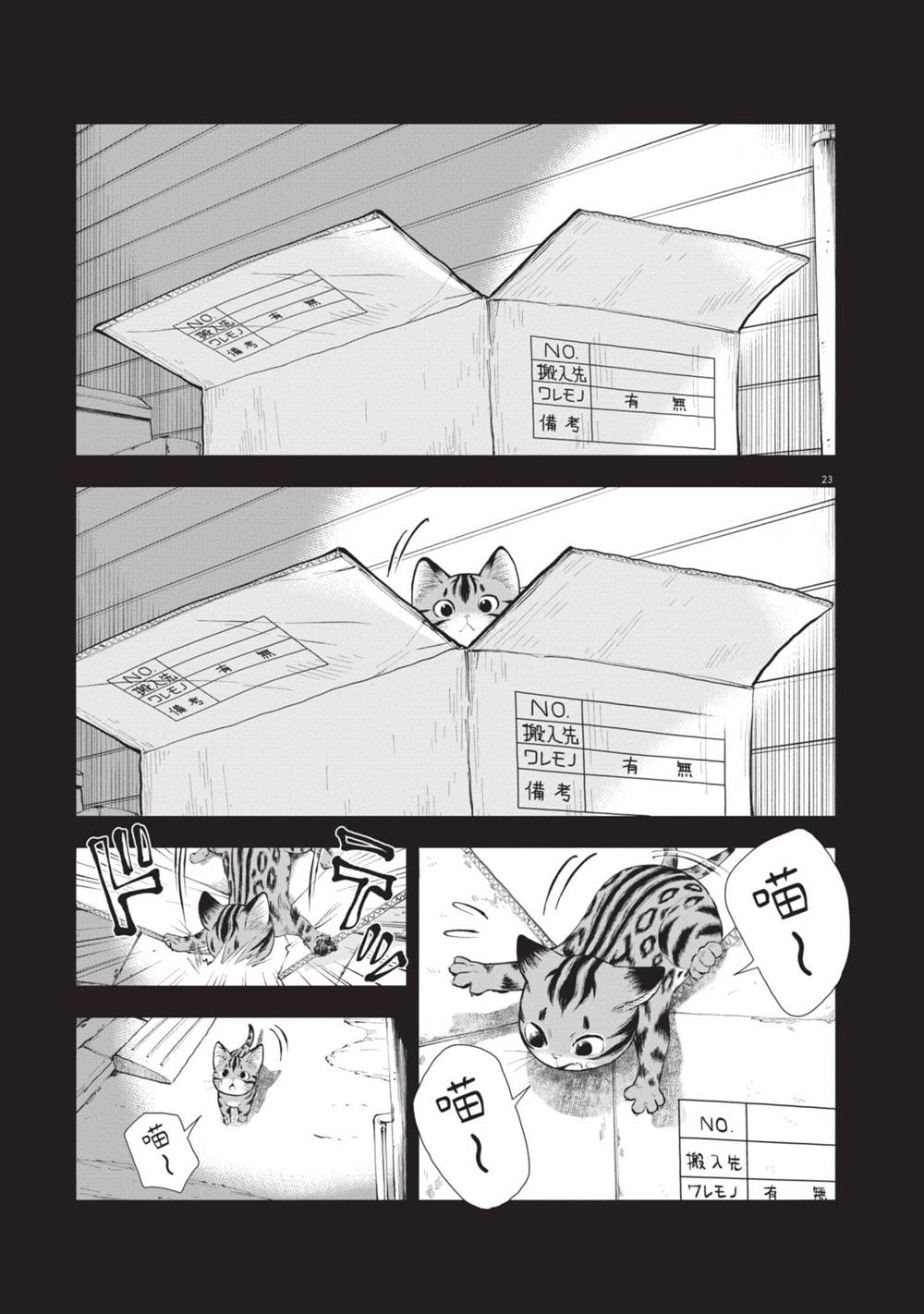第56页