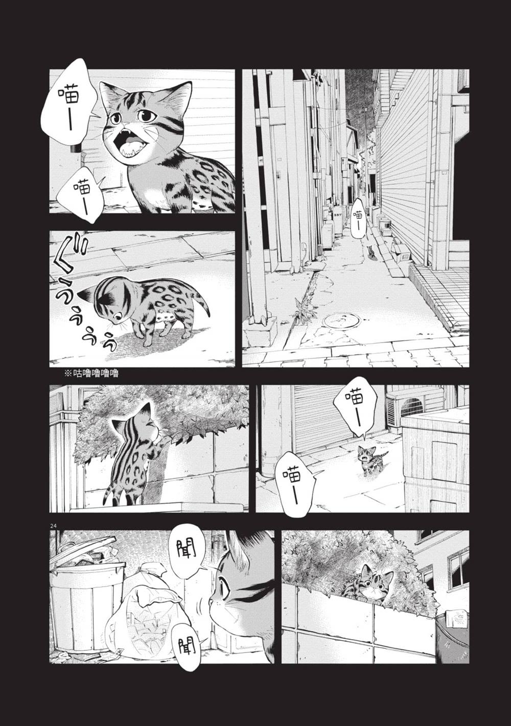 第57页