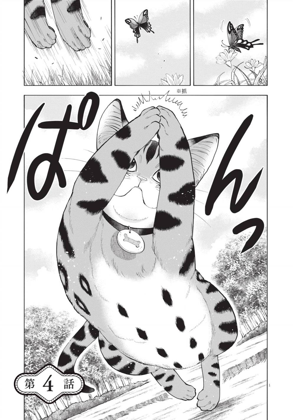 第82页