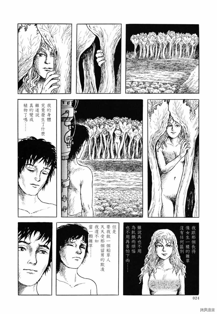 第25页