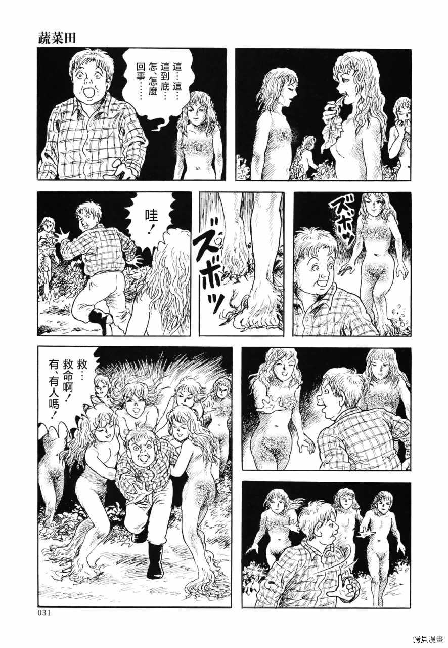 第32页