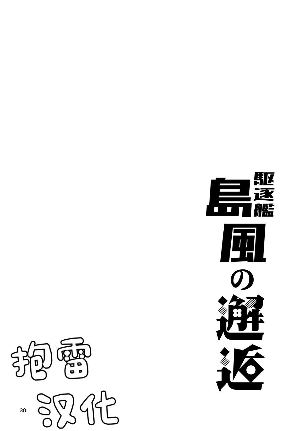 第29页