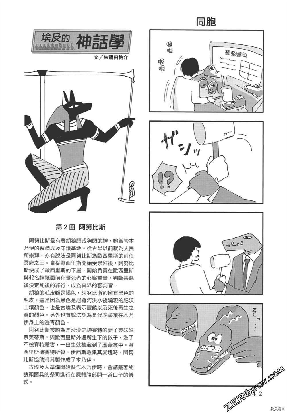 第43页