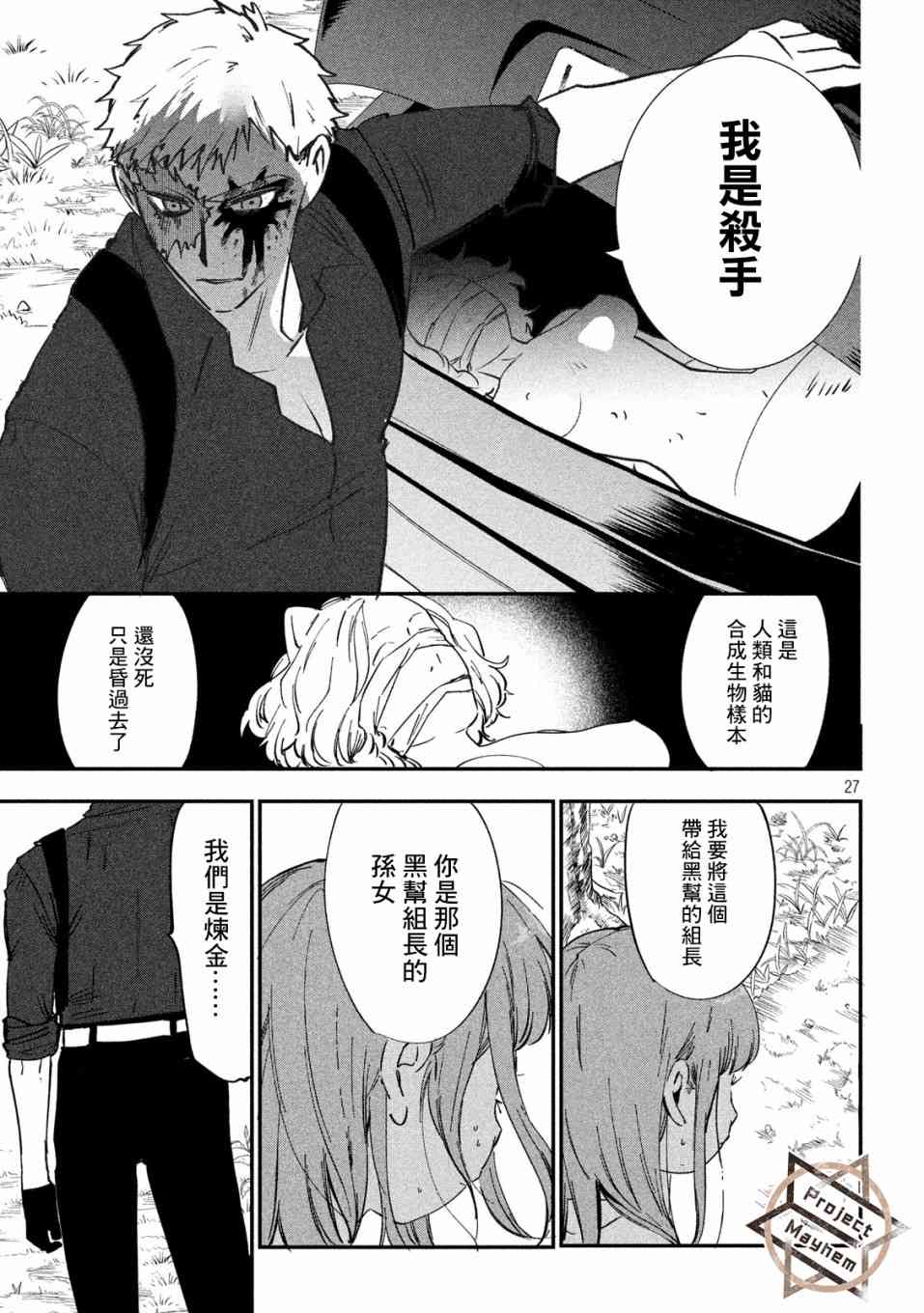 第27页