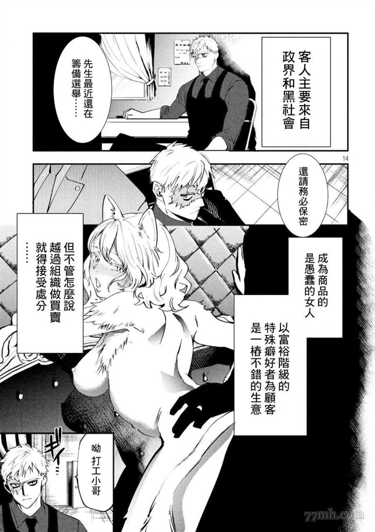 第13页