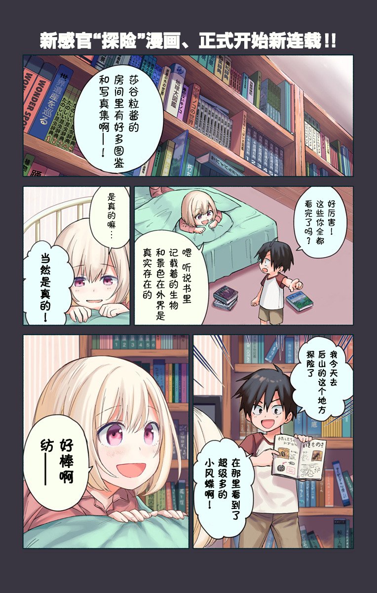 第1页