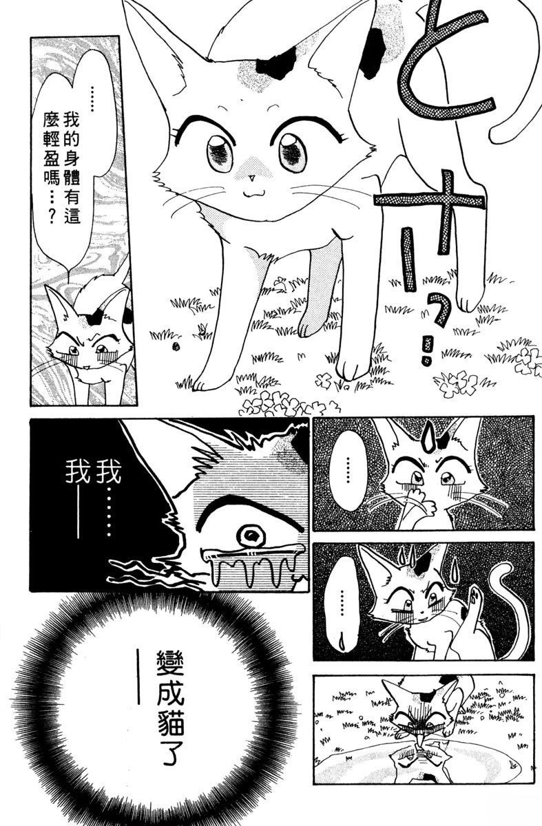 第137页