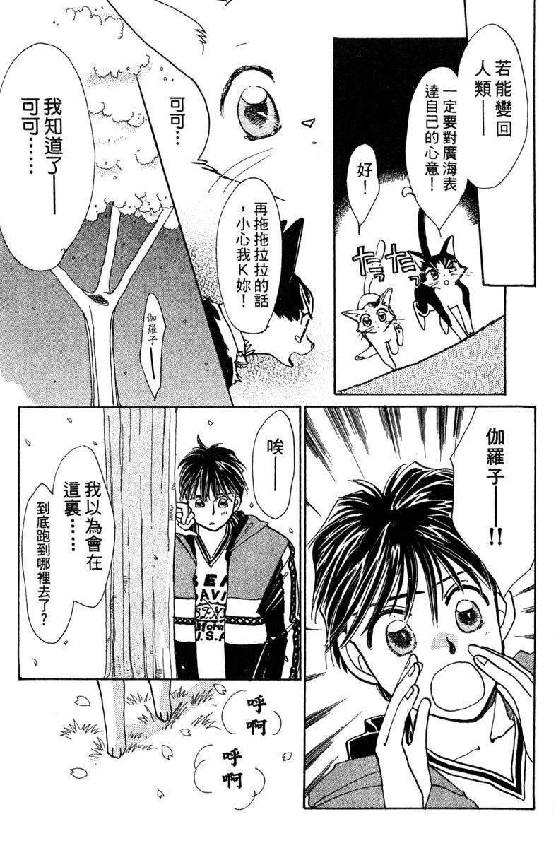 第155页
