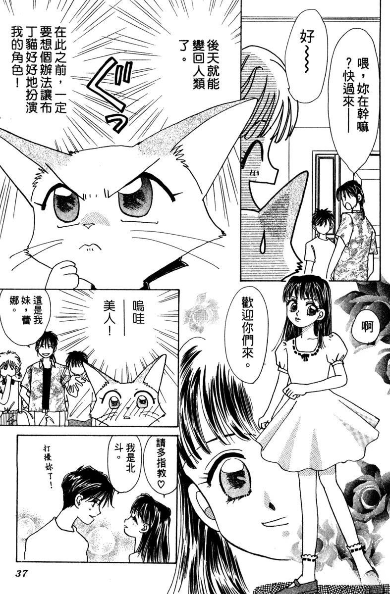 第39页