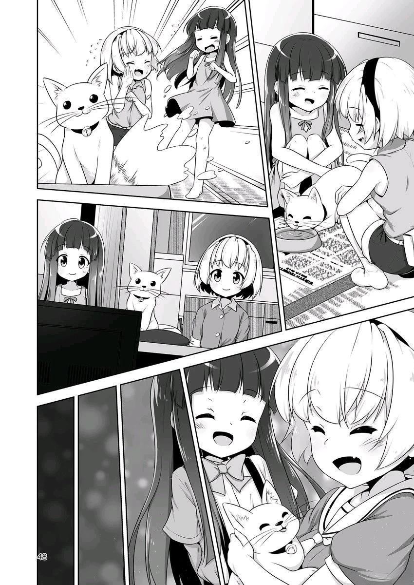 第43页