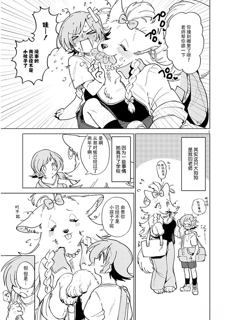 第3页