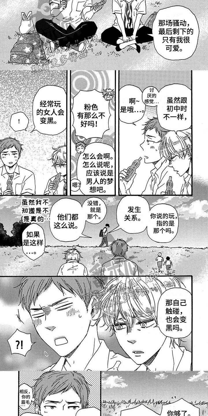 第3页