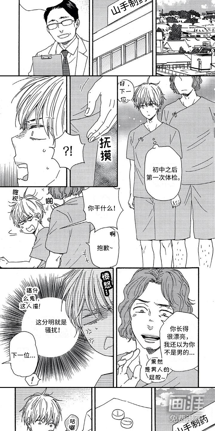 第3页
