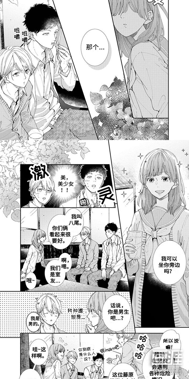 第3页