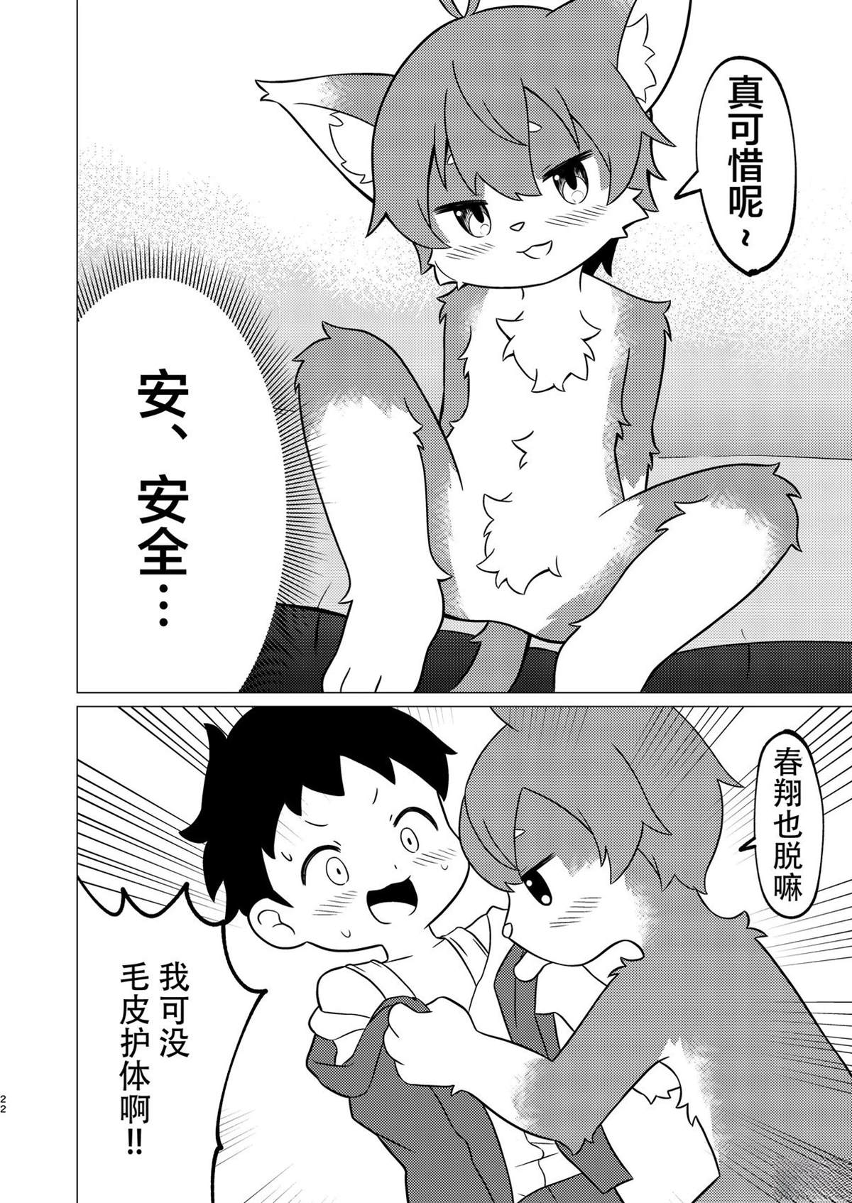 第20页
