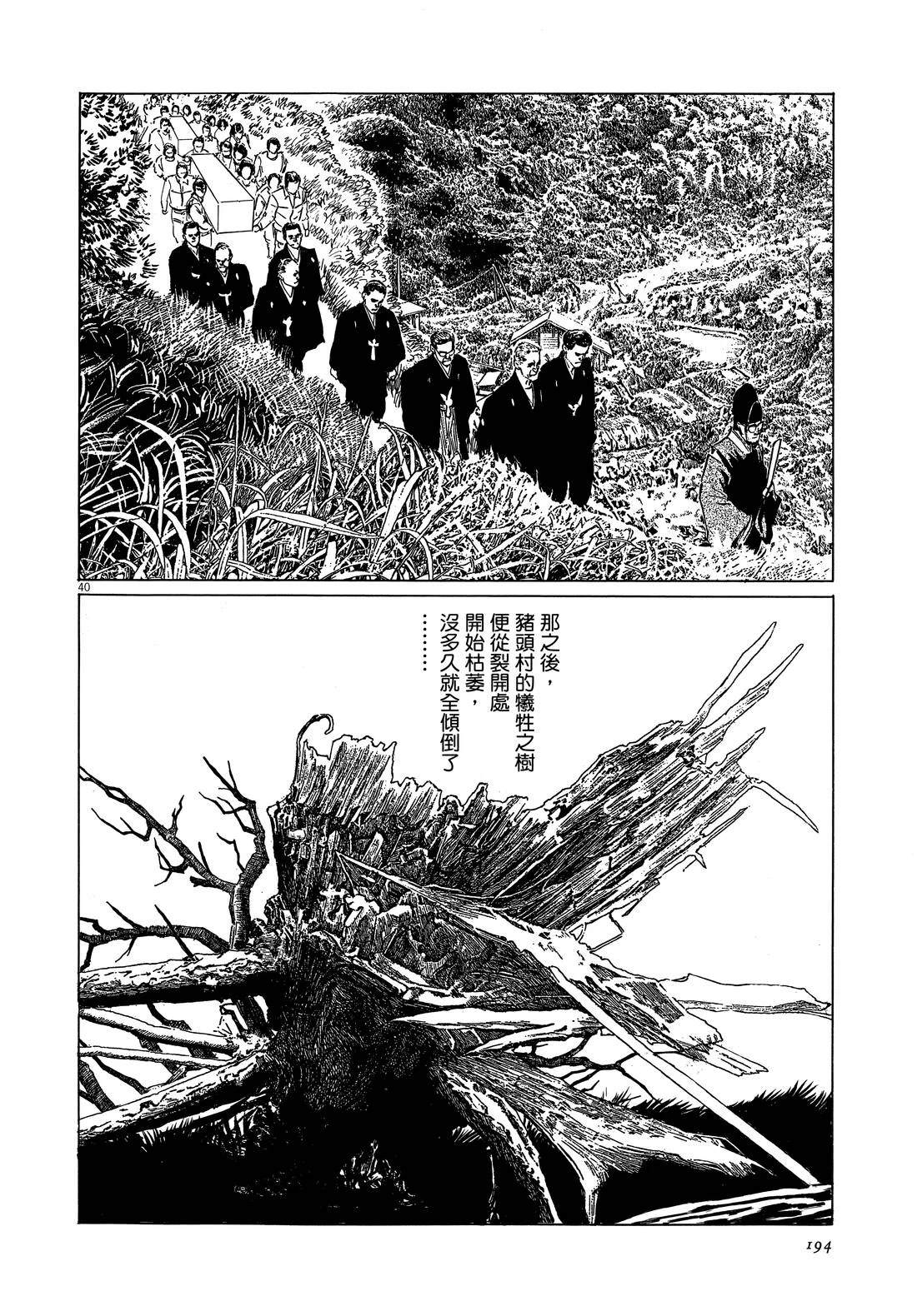 第196页