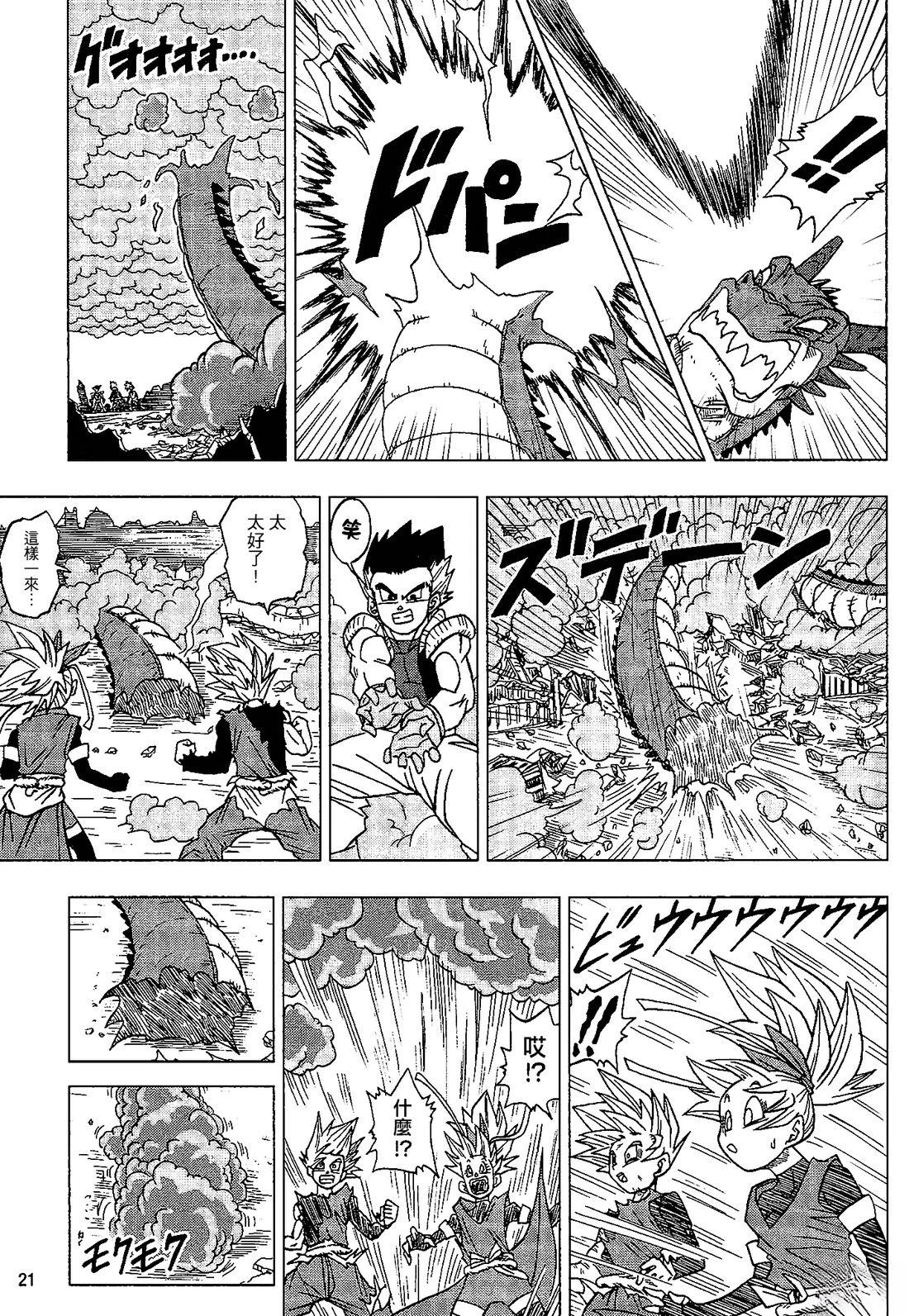 第20页