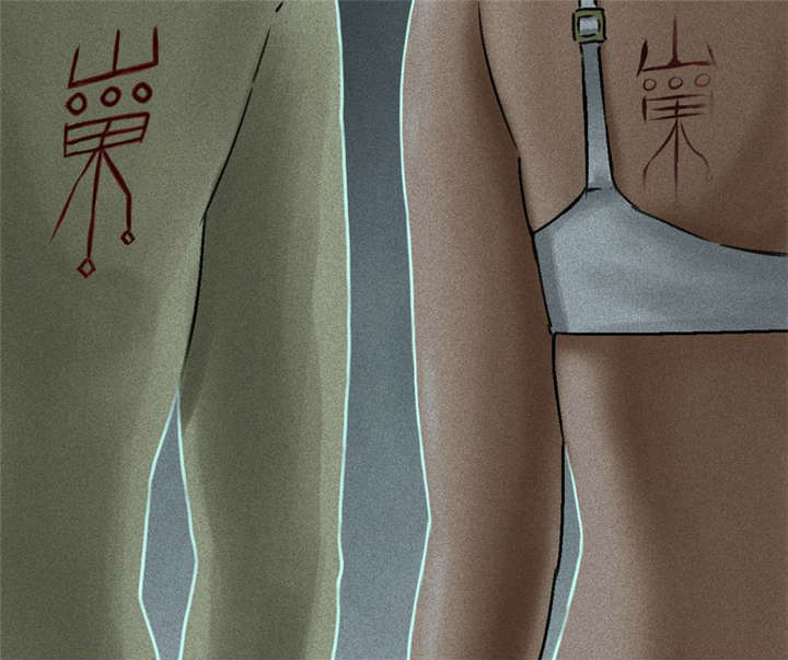 第81页