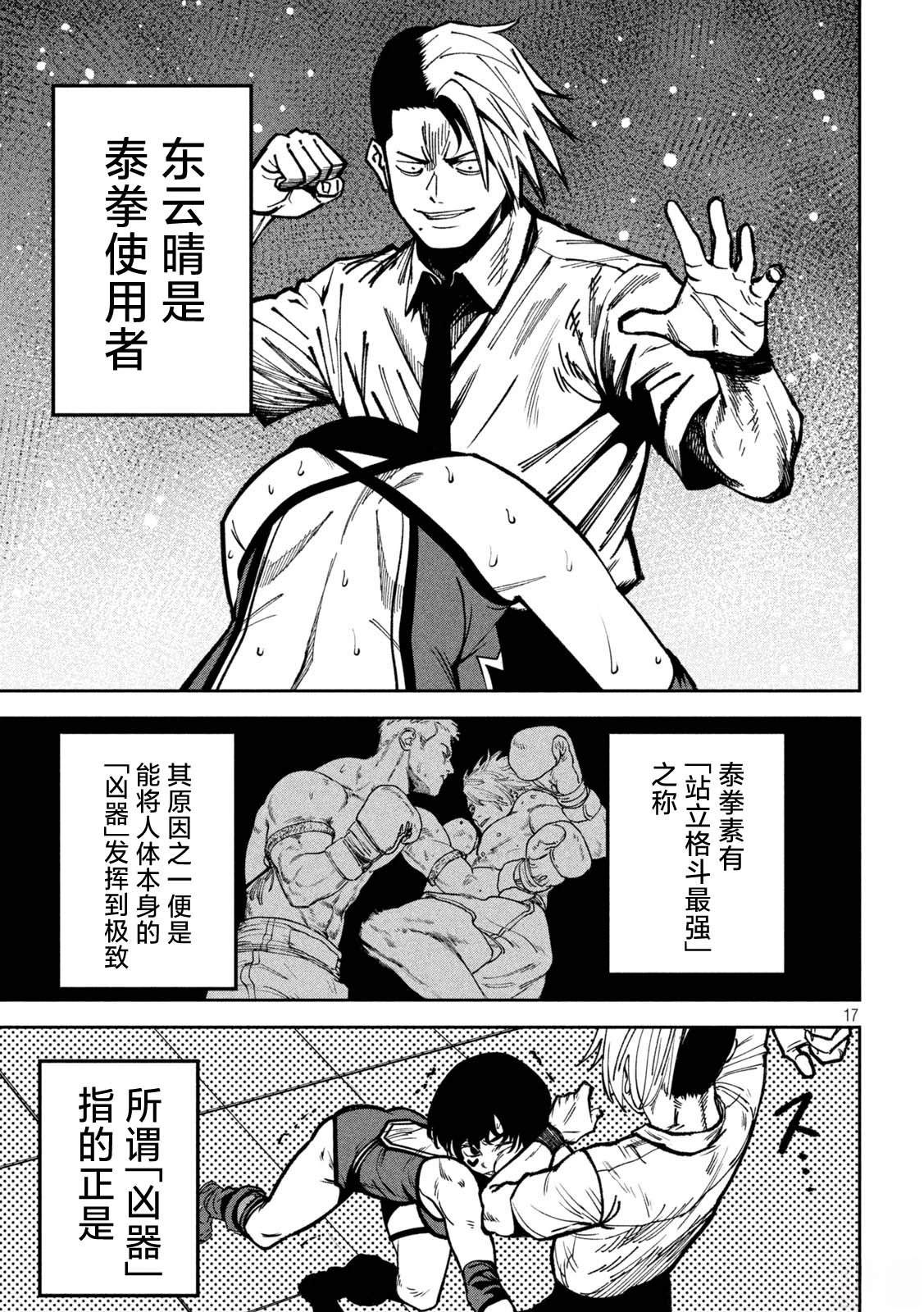 第17页