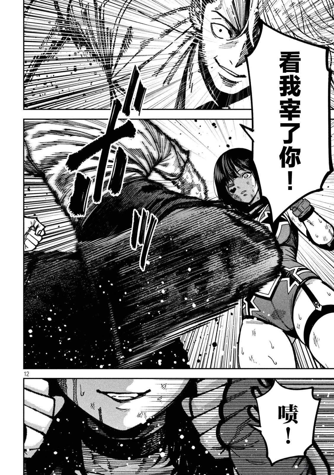 第12页