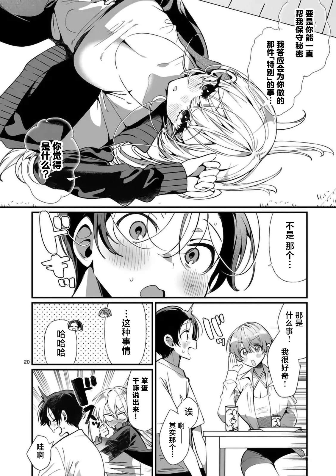第20页