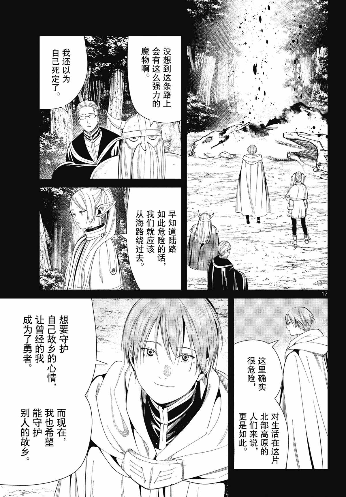 第17页