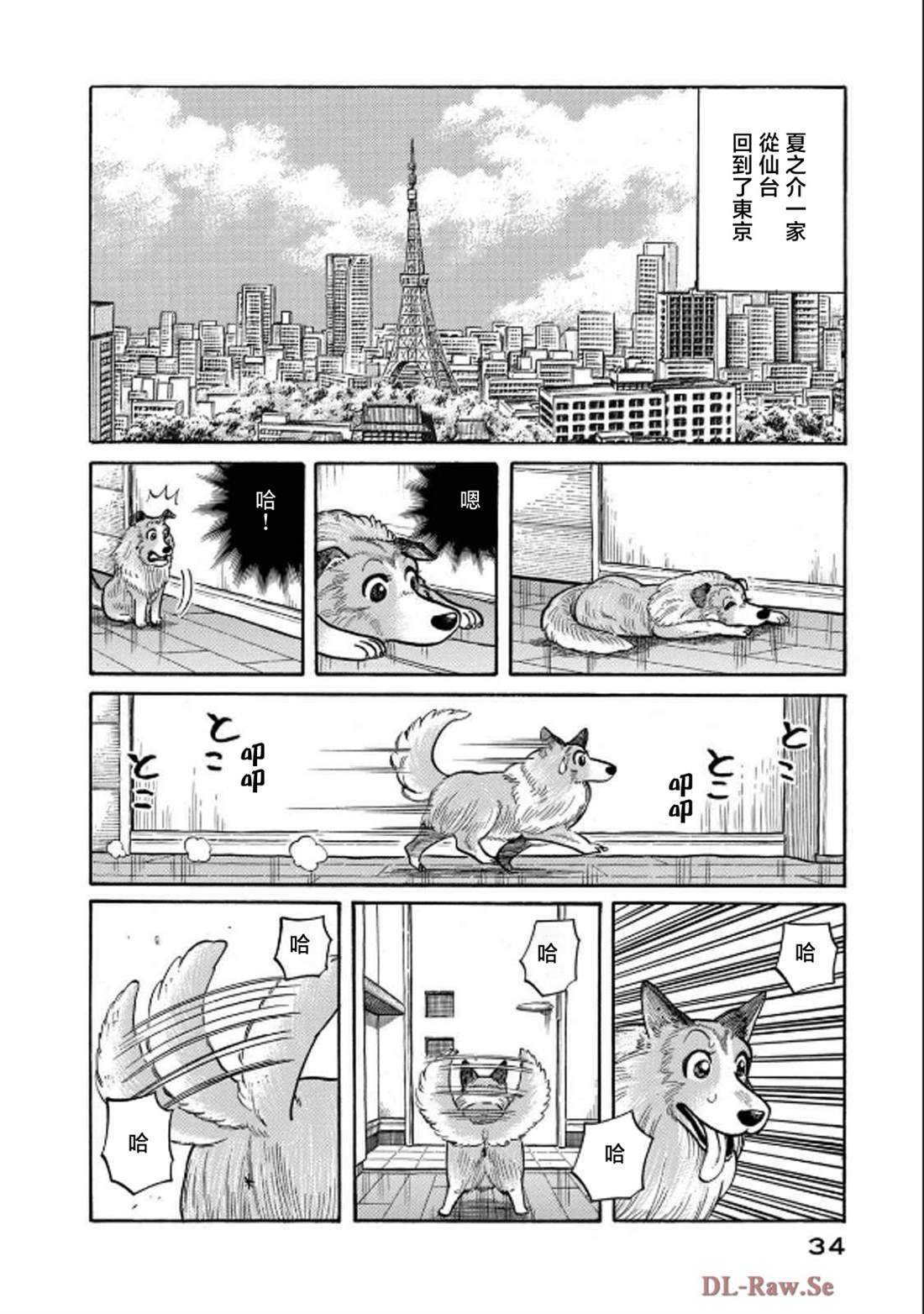 第34页