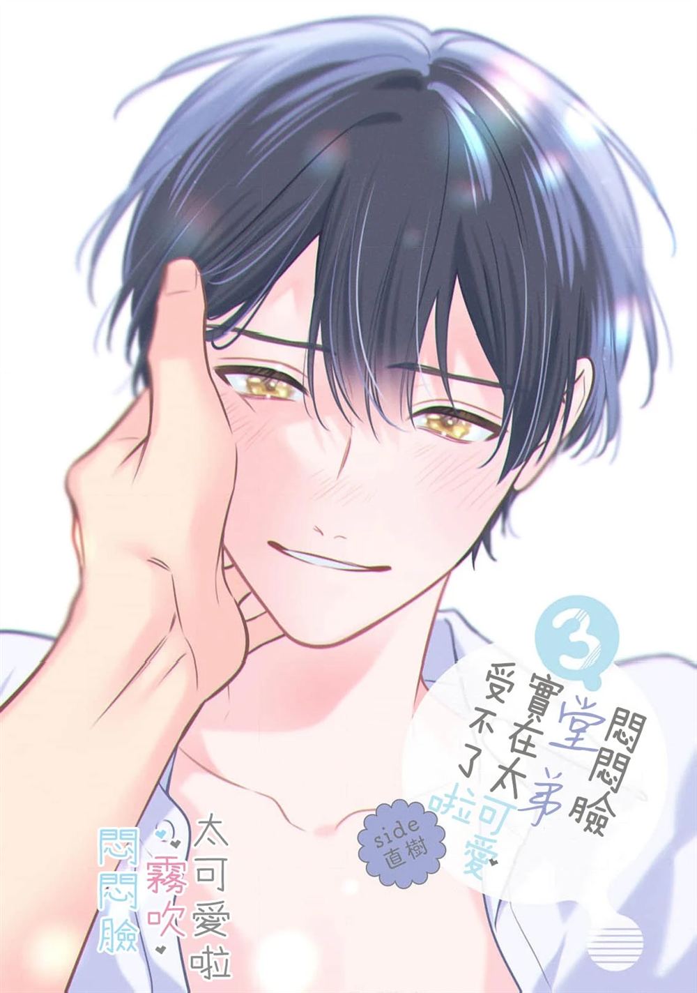 第3页