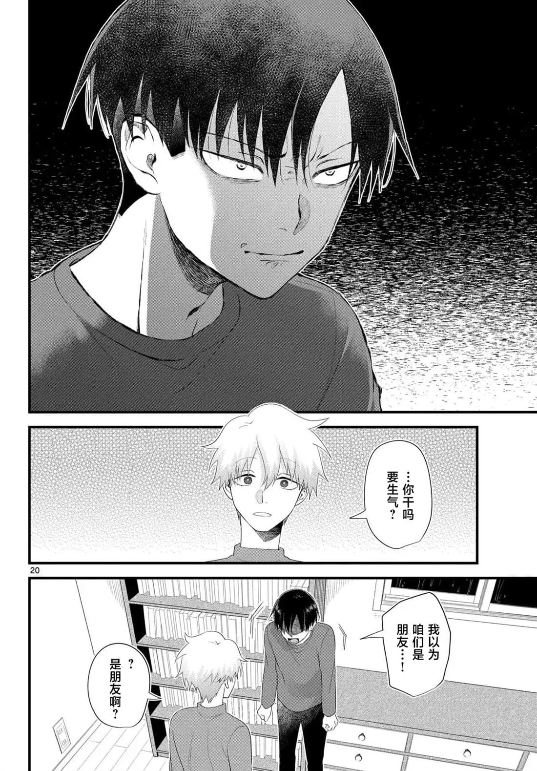 第20页