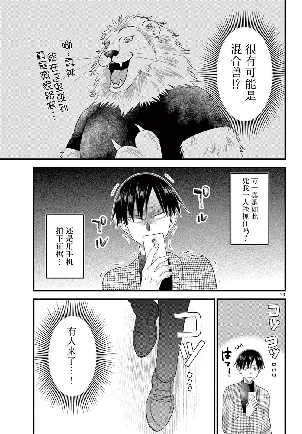 第13页