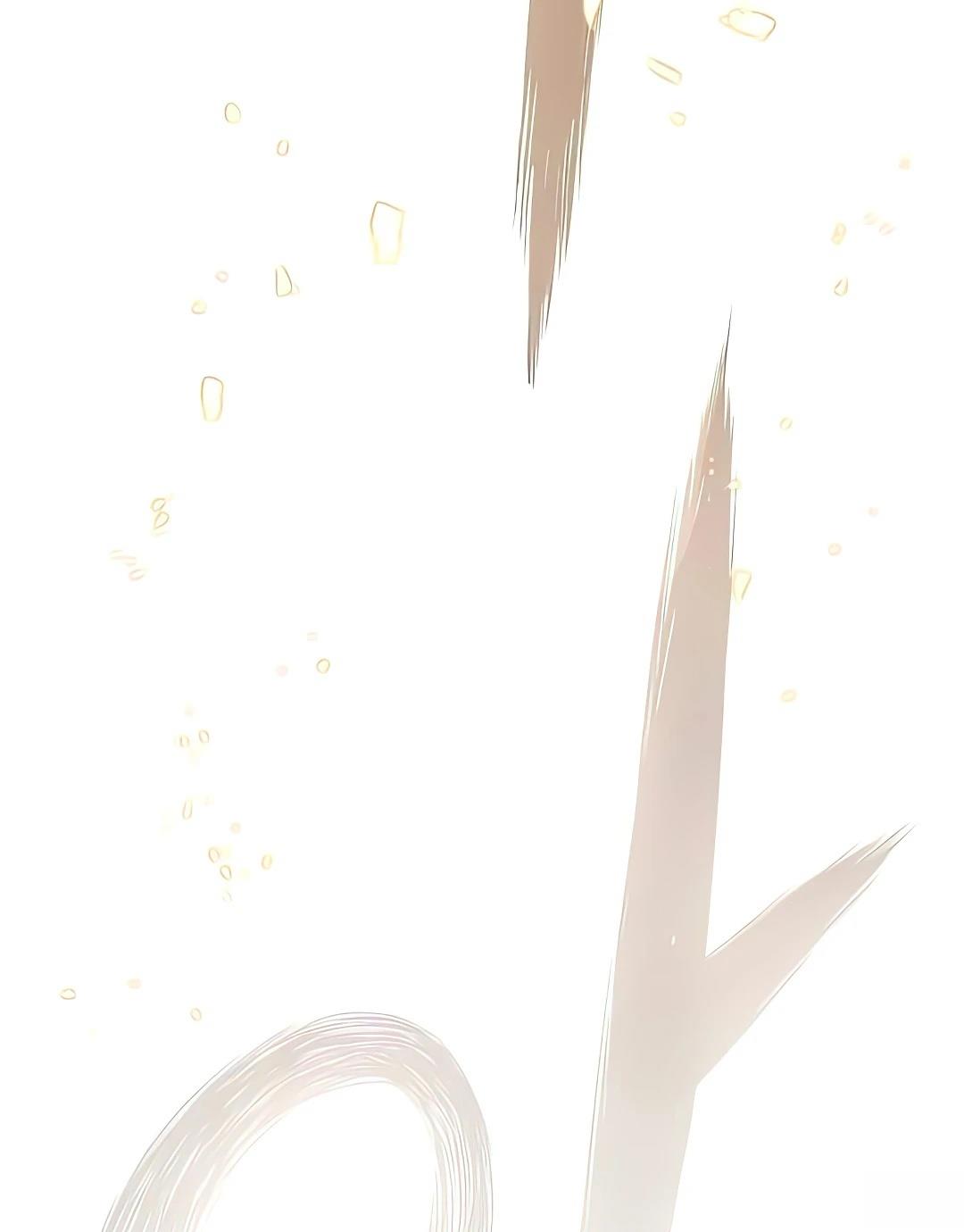 第229页