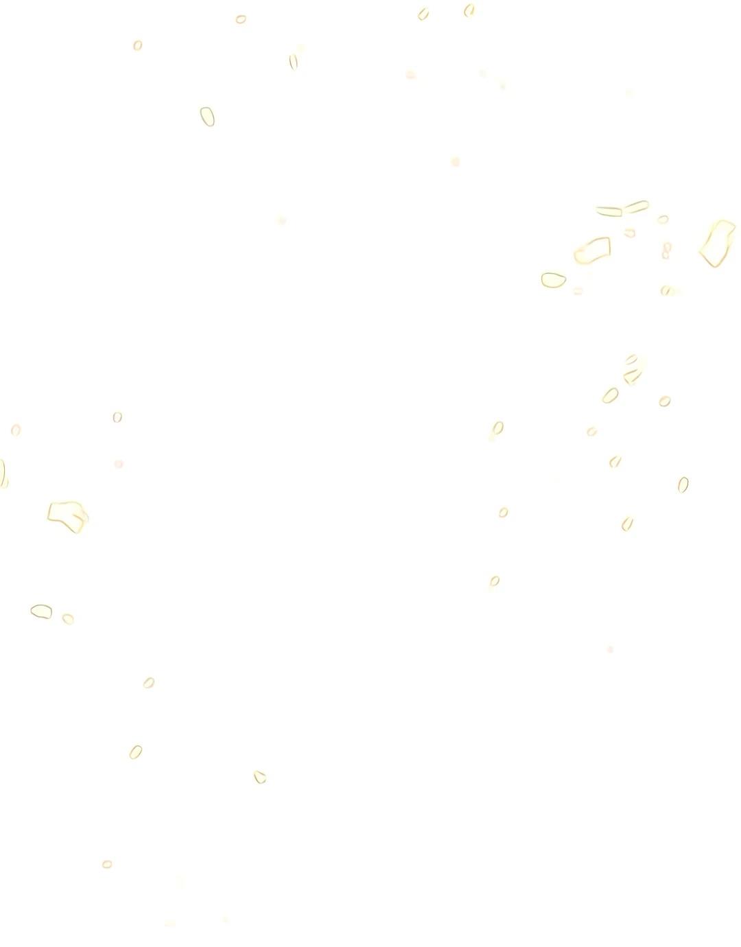 第231页