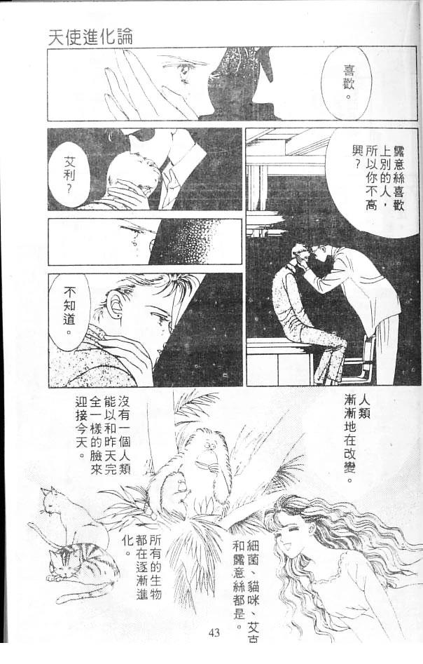 第43页