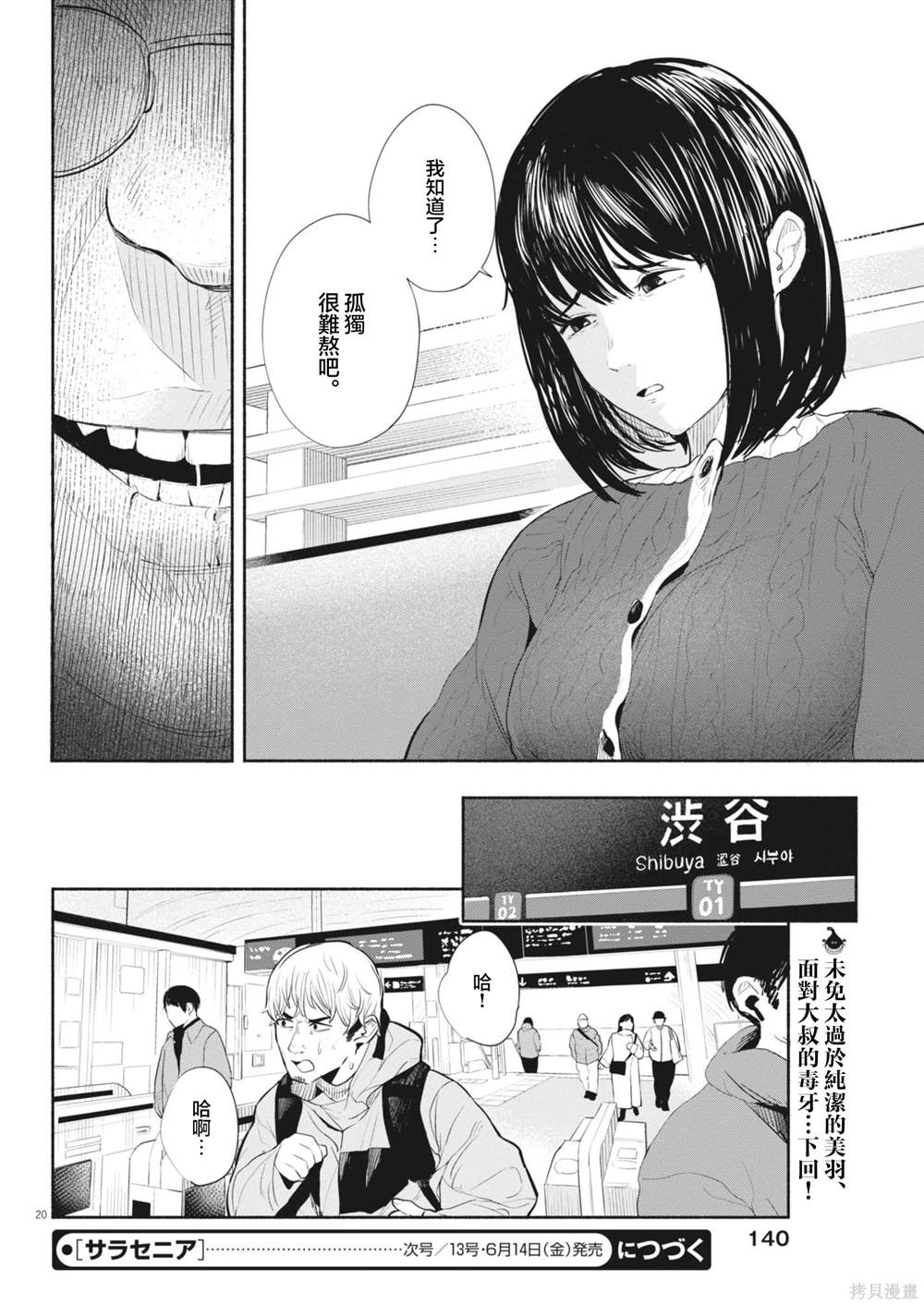 第20页
