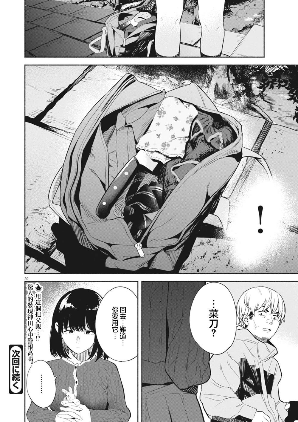 第20页