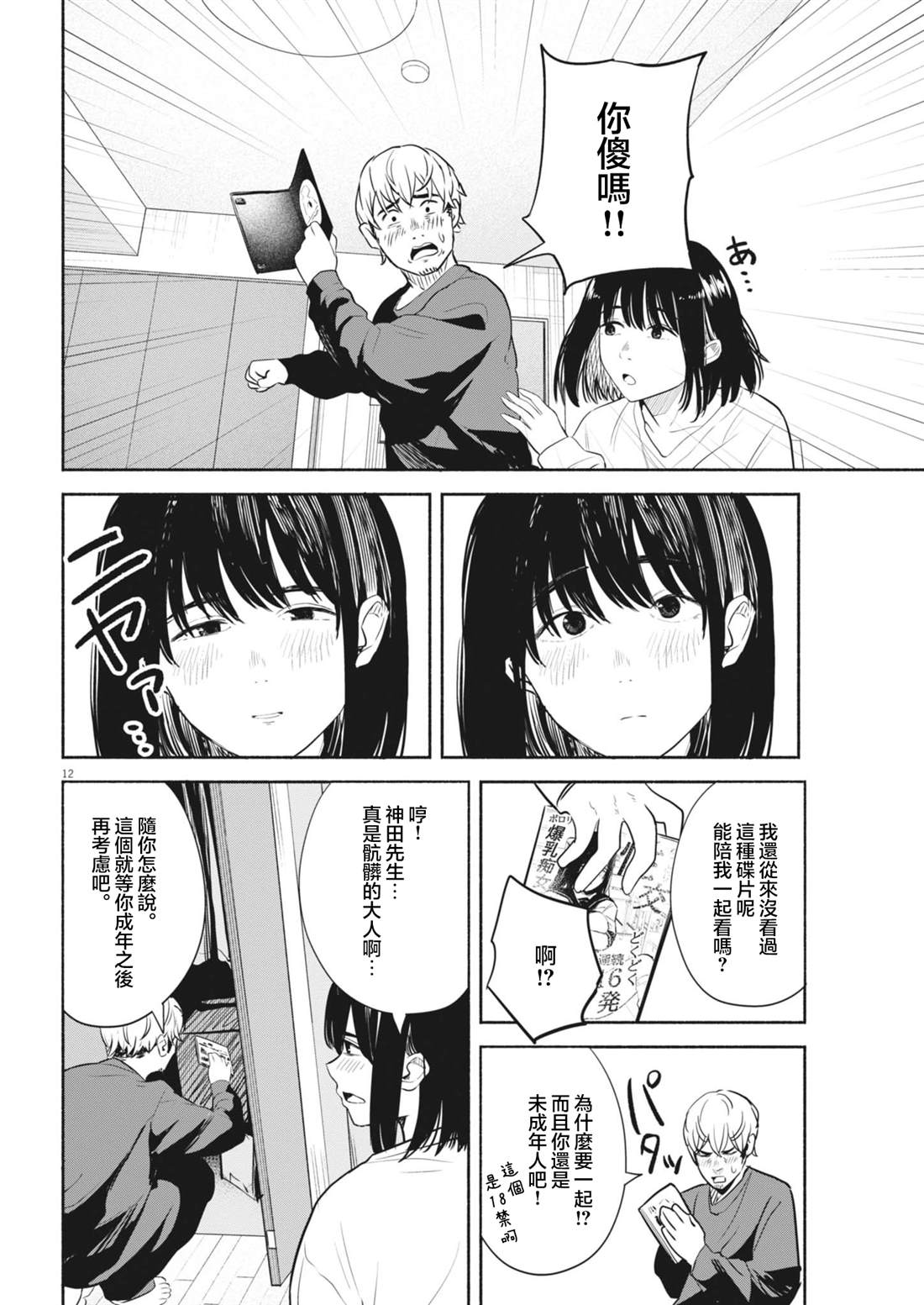 第12页