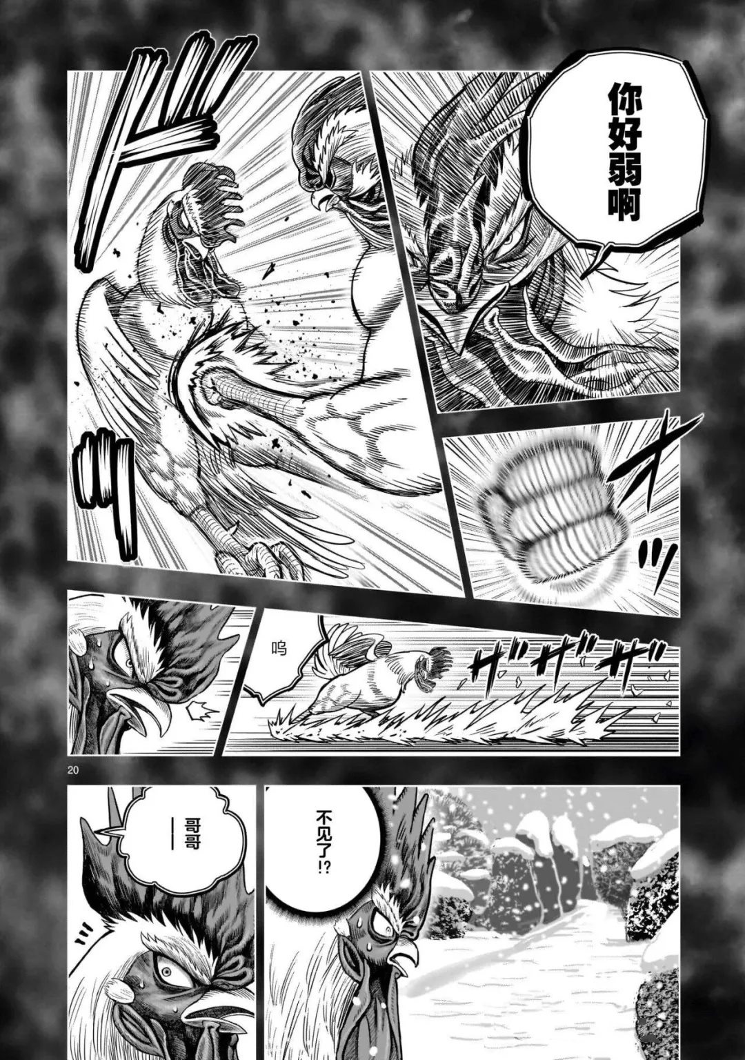 第20页