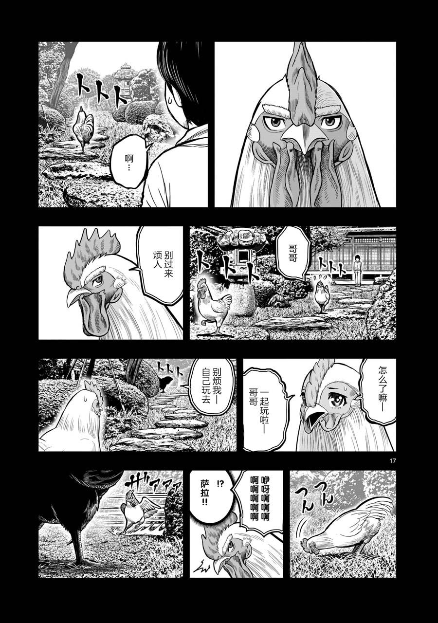 第17页