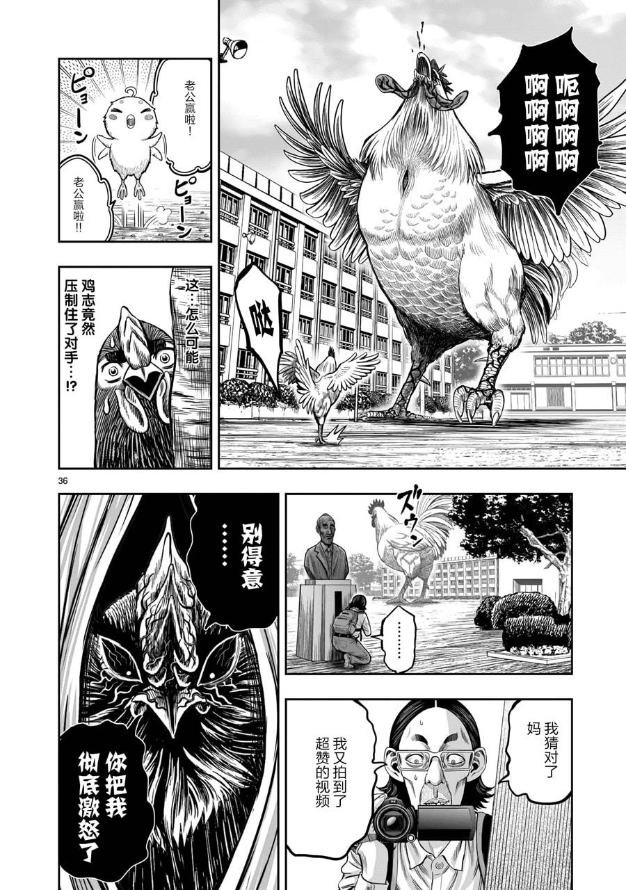 第36页